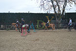 Badyhoeve is een terrein dat tot 3kinderen en hun pony's met de hond Djackson behoort.