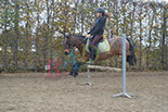 Badyhoeve is een terrein dat tot 3kinderen en hun pony's met de hond Djackson behoort.