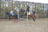 Badyhoeve is een terrein dat tot 3kinderen en hun pony's met de hond Djackson behoort.