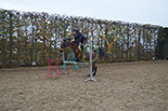 Badyhoeve is een terrein dat tot 3kinderen en hun pony's met de hond Djackson behoort.