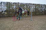 Badyhoeve is een terrein dat tot 3kinderen en hun pony's met de hond Djackson behoort.