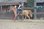 Badyhoeve is een terrein dat tot 3kinderen en hun pony's met de hond Djackson behoort.