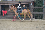 Badyhoeve is een terrein dat tot 3kinderen en hun pony's met de hond Djackson behoort.