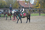Badyhoeve is een terrein dat tot 3kinderen en hun pony's met de hond Djackson behoort.