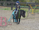 Badyhoeve is een terrein dat tot 3kinderen en hun pony's met de hond Djackson behoort.