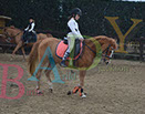 Badyhoeve is een terrein dat tot 3kinderen en hun pony's met de hond Djackson behoort.