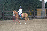 Badyhoeve is een terrein dat tot 3kinderen en hun pony's met de hond Djackson behoort.