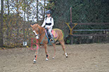 Badyhoeve is een terrein dat tot 3kinderen en hun pony's met de hond Djackson behoort.