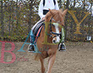 Badyhoeve is een terrein dat tot 3kinderen en hun pony's met de hond Djackson behoort.