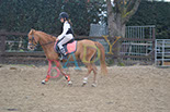 Badyhoeve is een terrein dat tot 3kinderen en hun pony's met de hond Djackson behoort.