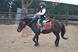 Badyhoeve is een terrein dat tot 3kinderen en hun pony's met de hond Djackson behoort.