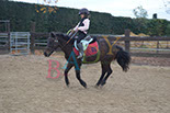 Badyhoeve is een terrein dat tot 3kinderen en hun pony's met de hond Djackson behoort.