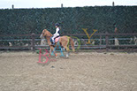 Badyhoeve is een terrein dat tot 3kinderen en hun pony's met de hond Djackson behoort.