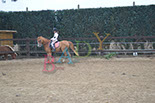 Badyhoeve is een terrein dat tot 3kinderen en hun pony's met de hond Djackson behoort.