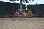 Badyhoeve is een terrein dat tot 3kinderen en hun pony's met de hond Djackson behoort.
