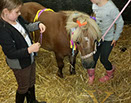 Badyhoeve van 3kinderen en de hond Djackson
