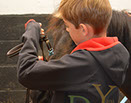 Badyhoeve van 3kinderen en de hond Djackson