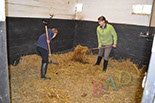 Badyhoeve van 3kinderen en de hond Djackson
