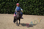 Badyhoeve van 3kinderen en de hond Djackson