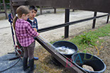 Badyhoeve van 3kinderen en de hond Djackson