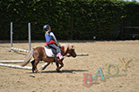 Badyhoeve van 3kinderen en de hond Djackson