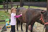 Badyhoeve van 3kinderen en de hond Djackson