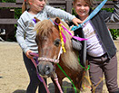 Badyhoeve van 3kinderen en de hond Djackson
