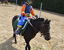 Badyhoeve van 3kinderen en de hond Djackson