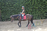 Badyhoeve van 3kinderen en de hond Djackson