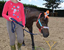 Badyhoeve van 3kinderen en de hond Djackson