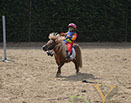 Badyhoeve van 3kinderen en de hond Djackson