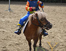 Badyhoeve van 3kinderen en de hond Djackson