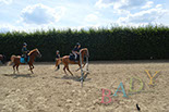 Badyhoeve van 3kinderen en de hond Djackson