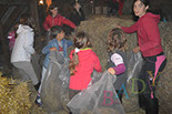 Badyhoeve van 3kinderen en de hond Djackson
