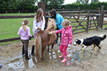Badyhoeve van 3kinderen en de hond Djackson