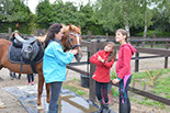 Badyhoeve van 3kinderen en de hond Djackson