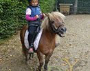 Badyhoeve van 3kinderen en de hond Djackson