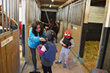 Badyhoeve van 3kinderen en de hond Djackson