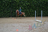 Badyhoeve van 3kinderen en de hond Djackson