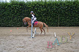 Badyhoeve van 3kinderen en de hond Djackson