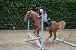 Badyhoeve van 3kinderen en de hond Djackson