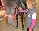 Badyhoeve van 3kinderen en de hond Djackson
