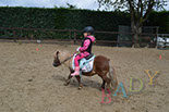 Badyhoeve van 3kinderen en de hond Djackson