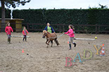 Badyhoeve van 3kinderen en de hond Djackson