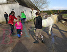 Badyhoeve is een terrein dat tot 3kinderen en hun pony's met de hond Djackson behoort.