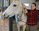 Badyhoeve is een terrein dat tot 3kinderen en hun pony's met de hond Djackson behoort.