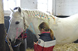 Badyhoeve is een terrein dat tot 3kinderen en hun pony's met de hond Djackson behoort.