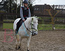 Badyhoeve is een terrein dat tot 3kinderen en hun pony's met de hond Djackson behoort.