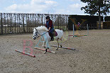 Badyhoeve is een terrein dat tot 3kinderen en hun pony's met de hond Djackson behoort.