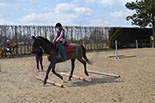 Badyhoeve is een terrein dat tot 3kinderen en hun pony's met de hond Djackson behoort.